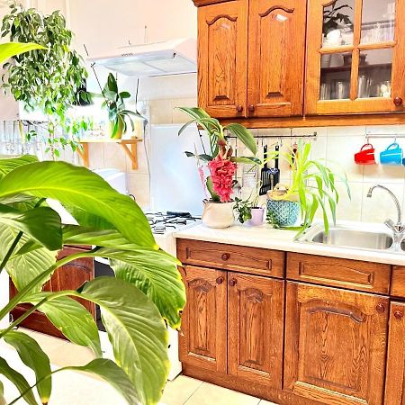 Margaret Bridge Cosy Flat Apartment Budapest Bagian luar foto